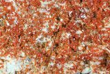 Ruby Red Vanadinite Crystals on Pink Barite - Morocco #82382-2